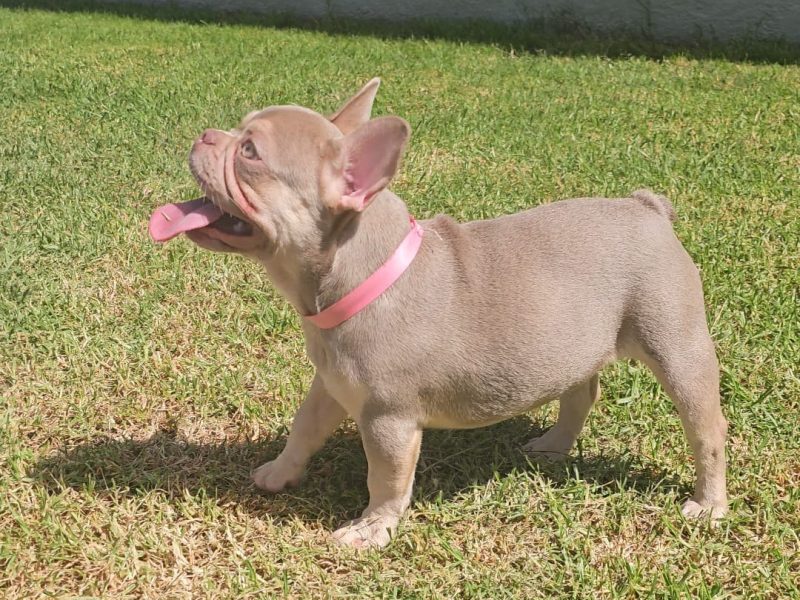 397343659_1715889282248055_1535658190996454151_n