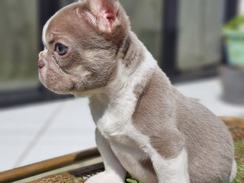 398967596_7174963982523830_1278334069540606454_n